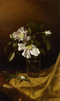 馬丁 約翰遜 赫德 Cherokee Roses in a Glass on Gold Velvet Plush 馬丁 約翰遜 赫德 Cherokee Roses in a Glass on Gold Velvet Plush